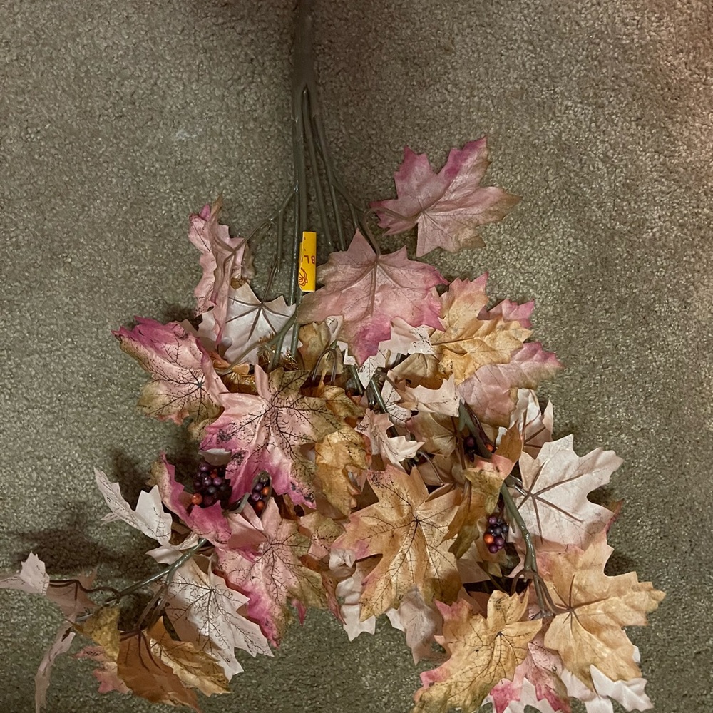 Fall Bushes